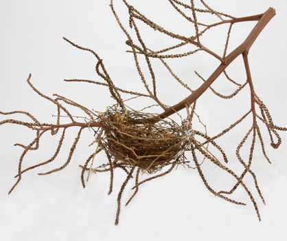 Birds nest made from woven grass hair