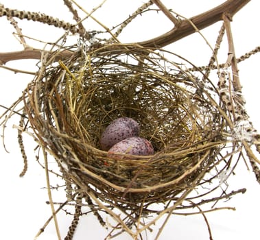 Birds nest made from woven grass hair