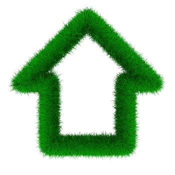 house from grass. Isolated 3D image