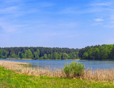 Rural landscape lake, forest and blue sky