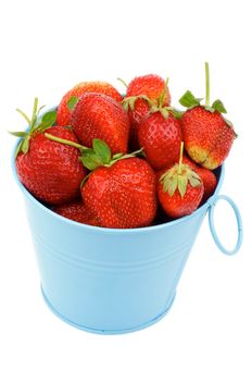 Ripe Strawberries in Blue Tin Bucket isolated on white background