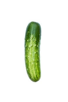 green cucumber isolated on white background