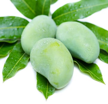 green raw mango and leaf on a white background
