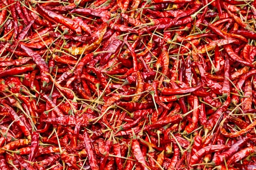 Close up of sun-dried chilli in many red pigments, food ingredient