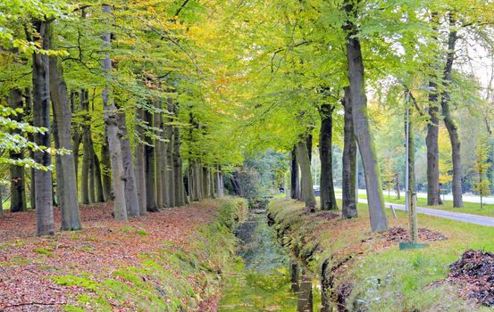 Fall in the countryside from the Netherlands