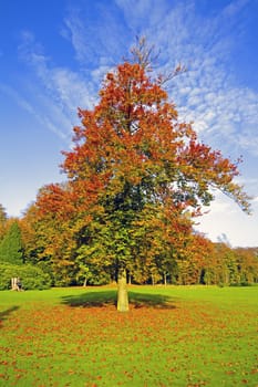 Fall in the countryside from the Netherlands