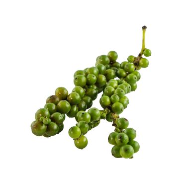 Fresh green pepper isolate on white background