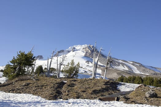 Mount Hood with Clear Blue Sky in Oregon