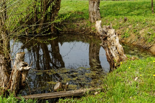 small lake in middle of the meadow