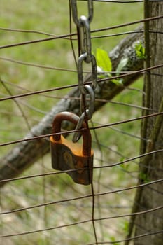 closed rusty padlock on the fence