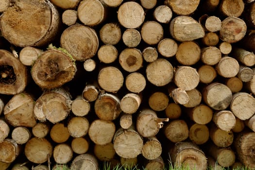 Pile of chopped fire wood prepared for winter