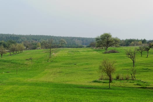 green meadows under a cloudy blue sky