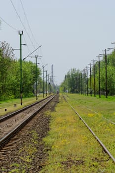 pair of railway track in the green