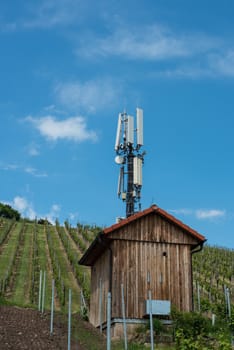 Telecommunication mast with microwave links and cellular network antennas in the midst of a vineyard over a blue sky.