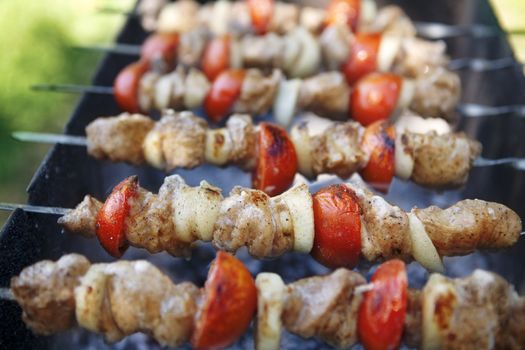 kebab preparation with tomatoes on a grill