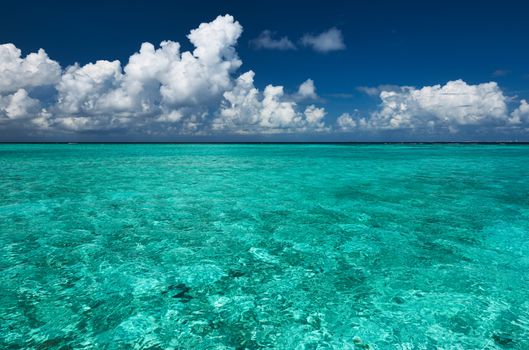 Crystal clear turquoise water at tropical maldivian beach
