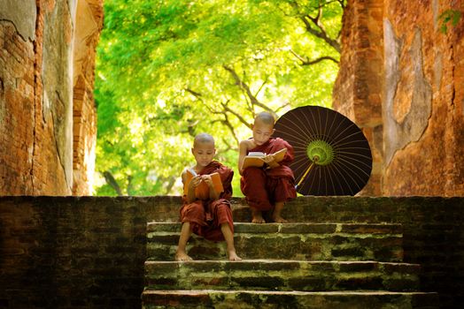 Young Buddhist monk reading outdoors, sitting outside monastery, Myanmar.