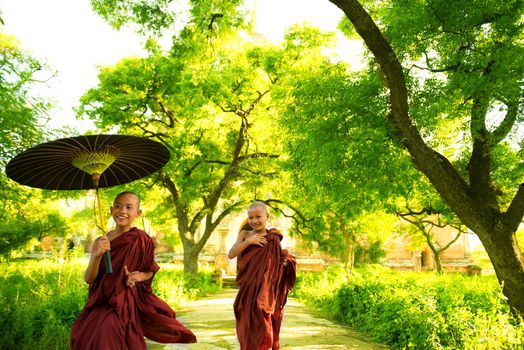 Two little Buddhist monks running outdoors under shade of green tree, outside monastery, Myanmar.