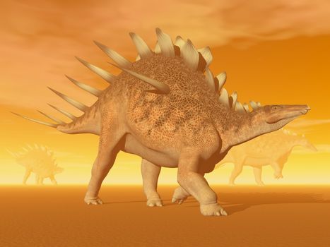 Three kentrosaurus dinosaurs in the desert by hazy sunset light