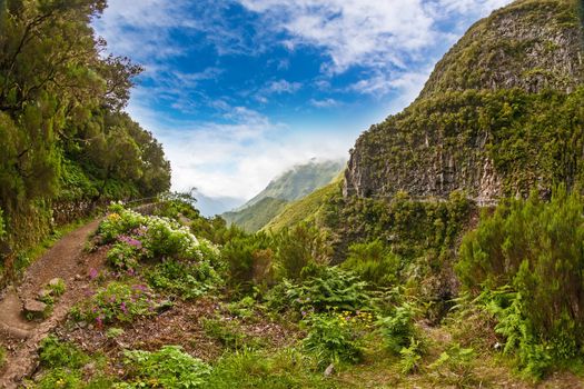 Beautiful landscape on the Island Madeira with path near the "Levada" to the waterfall