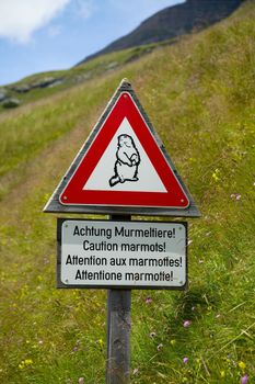 Warning sing for marmots by the road