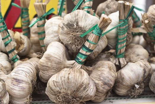 fresh garlic for sale in the historic market