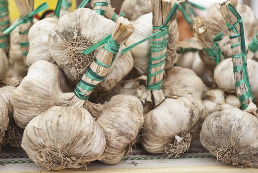 fresh garlic for sale in the historic market