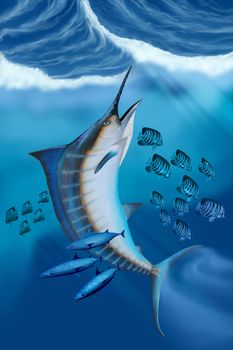 Small fish scatter as a huge Blue Marlin swims to the ocean surface with a burst of speed.