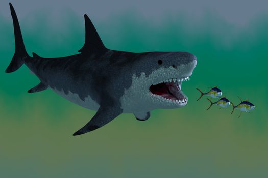 Several Tuna fish try to escape from a huge Megalodon shark in prehistoric times.