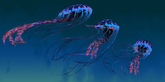 A pod of iridescent red and blue jellyfish swim together in the vast ocean.