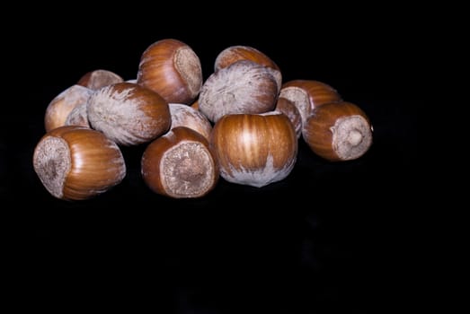 fresh nuts isolated on a black background