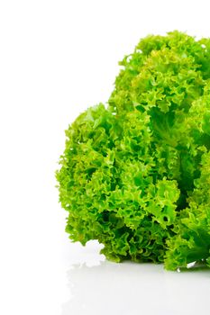 Fresh lettuce leaves isolated on white background