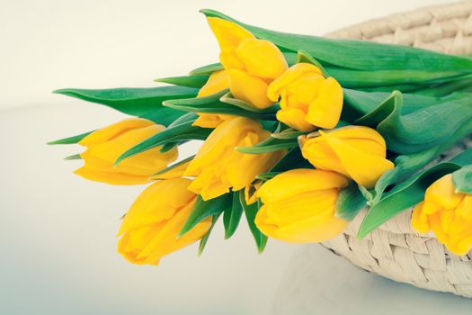 bouquet of fresh yellow tulips