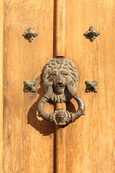 Antique handle with lion head
