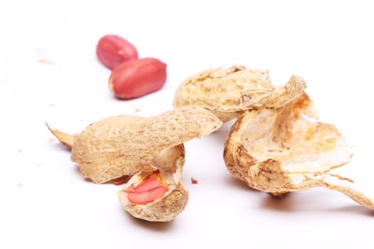 The peel of peanuts isolated on yhe white background