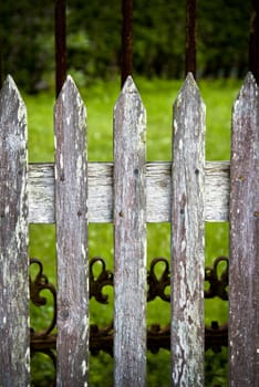 wooden fence on green background