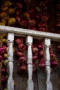 fence of a traditional construction with an onions background in Asturias, Spain