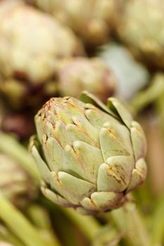 Artichoke