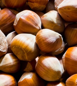 group hazelnuts drying in the sun