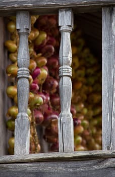 fence of a traditional construction with an onions background in Asturias, Spain