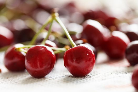 fresh cherries