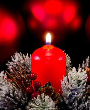 christmas composition with candle and shrubs