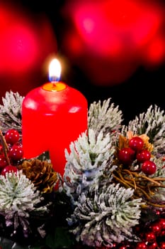 christmas composition with candle and shrubs