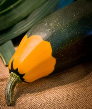 green and yellow zucchini on canvas