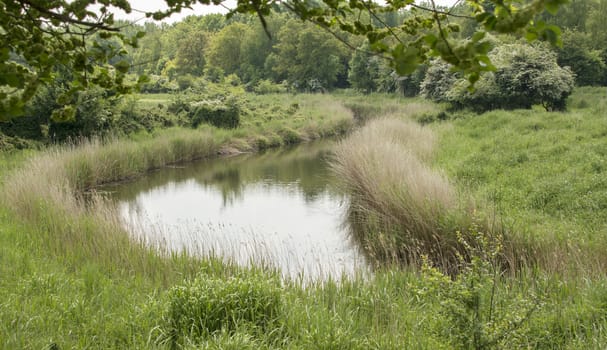 dutch nature area calle naturepark lelystad