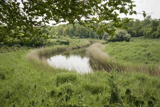 dutch nature area calle naturepark lelystad