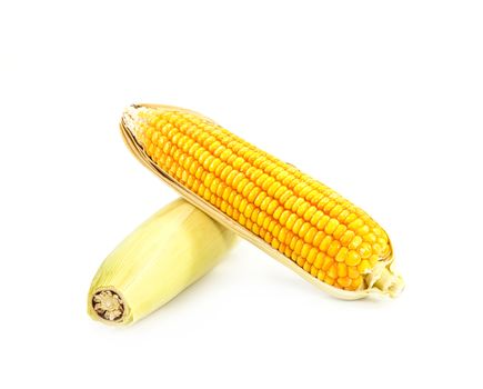 Fresh corn isolated on white background