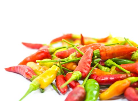 Closeup red chili pepper isolated on white background