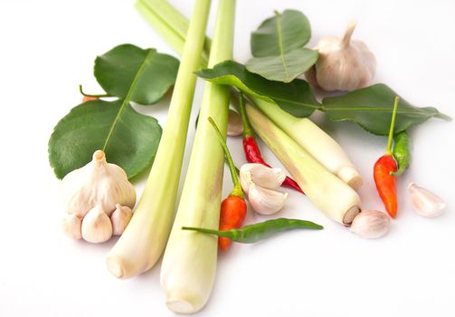 Lemongrass, garlic, pepper isolated. Group of tomyum (Thai food) seasoning ingredients