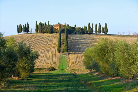 Image of typical beautiful tuscan landscape. Italy